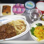 Plane Food