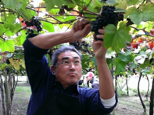 15. Internationaler Weinpreis 2014 geht nach Taiwan