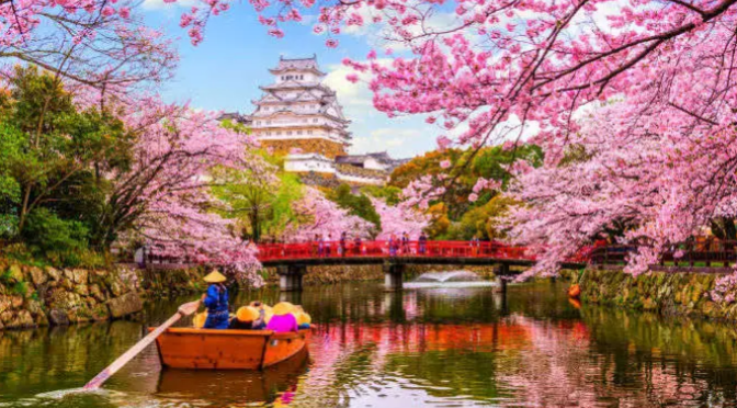 Japan zur Kirschblütenzeit rechtzeitig buchen